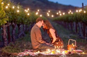 romantic-picnic-lighting